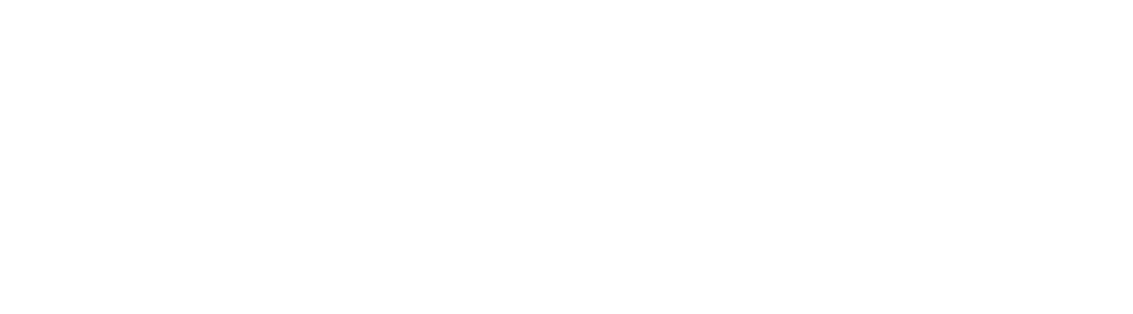 LOAN
